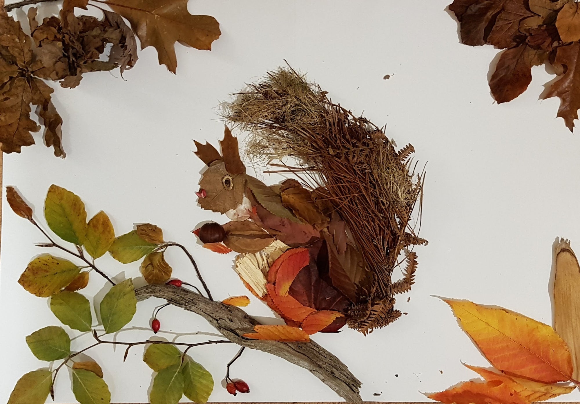 Monthly Competition: Autumn Nature Art