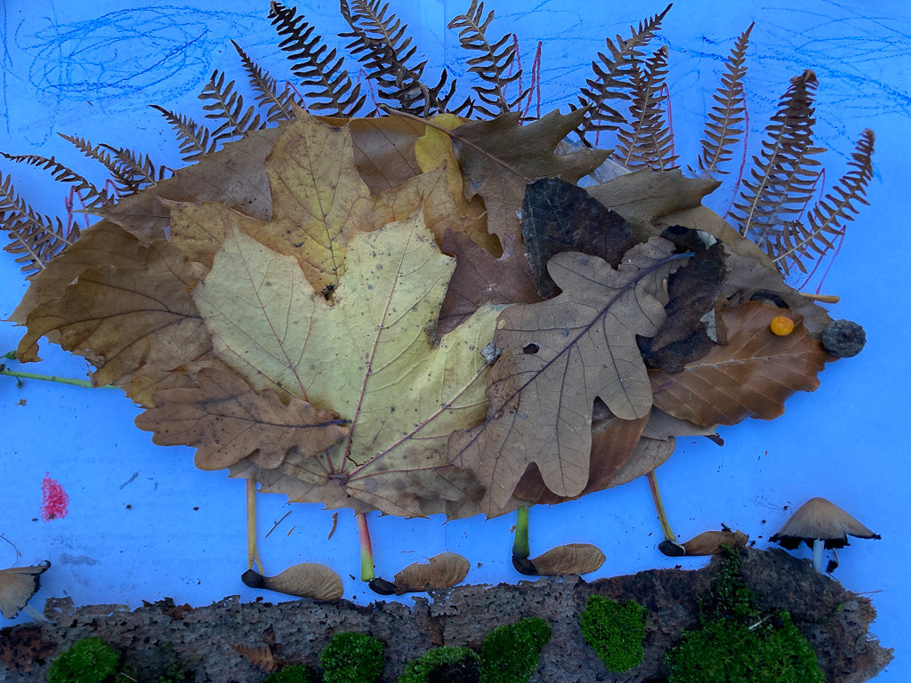 Autumn Nature Art Competition