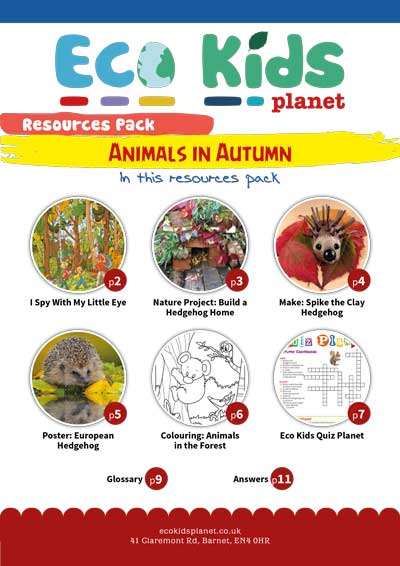 Resource pack for issue 109, Animals in Autumn