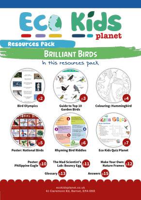 Resource pack for issue 69-70, Brilliant Birds