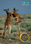 Kid&#39;s Nature Magazines - Issue 20 - Australia, Great Sandy-Tanami Deserts