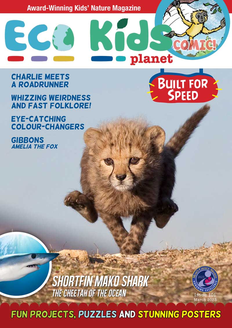 Kid's Nature Magazines – Issue 101 - Built for Speed