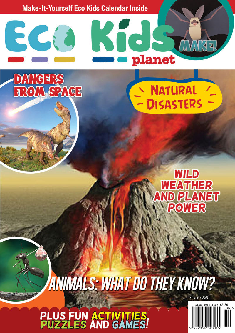 Kid's Nature Magazines - Issue 36 - Natural Disasters