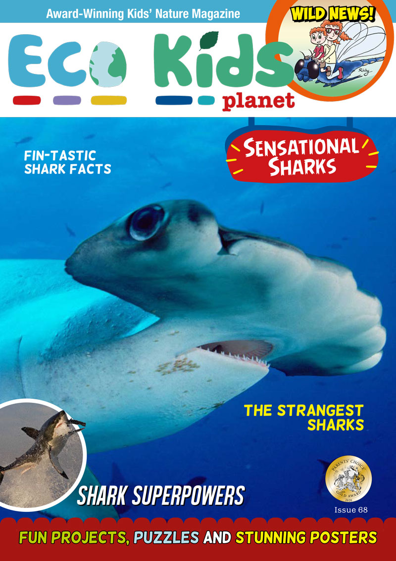 Kid's Nature Magazines – Issue 68 – Sensational Sharks