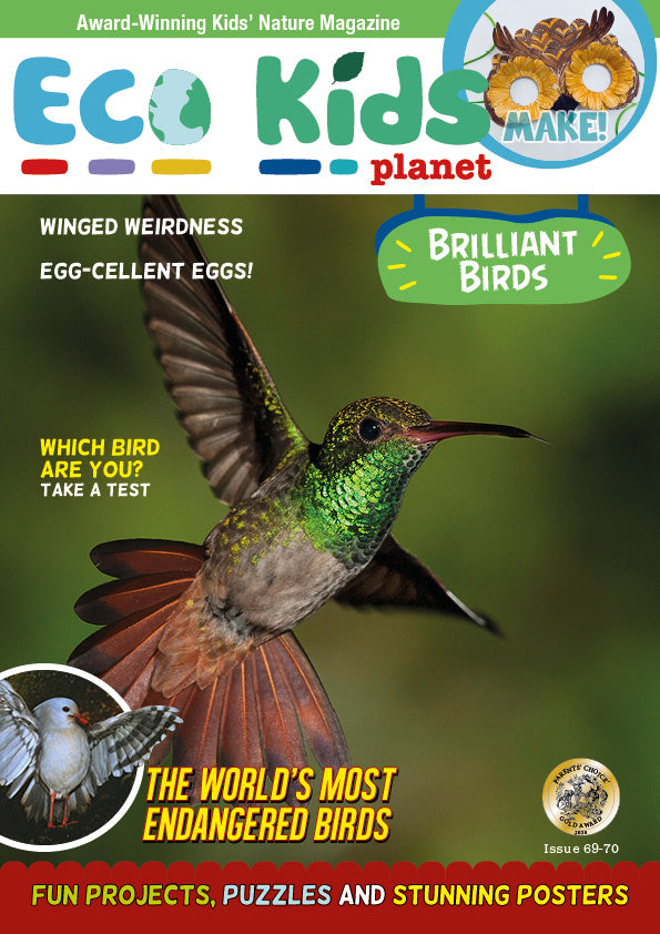 Kid's Nature Magazines - Issue 69/70 - Brilliant Birds