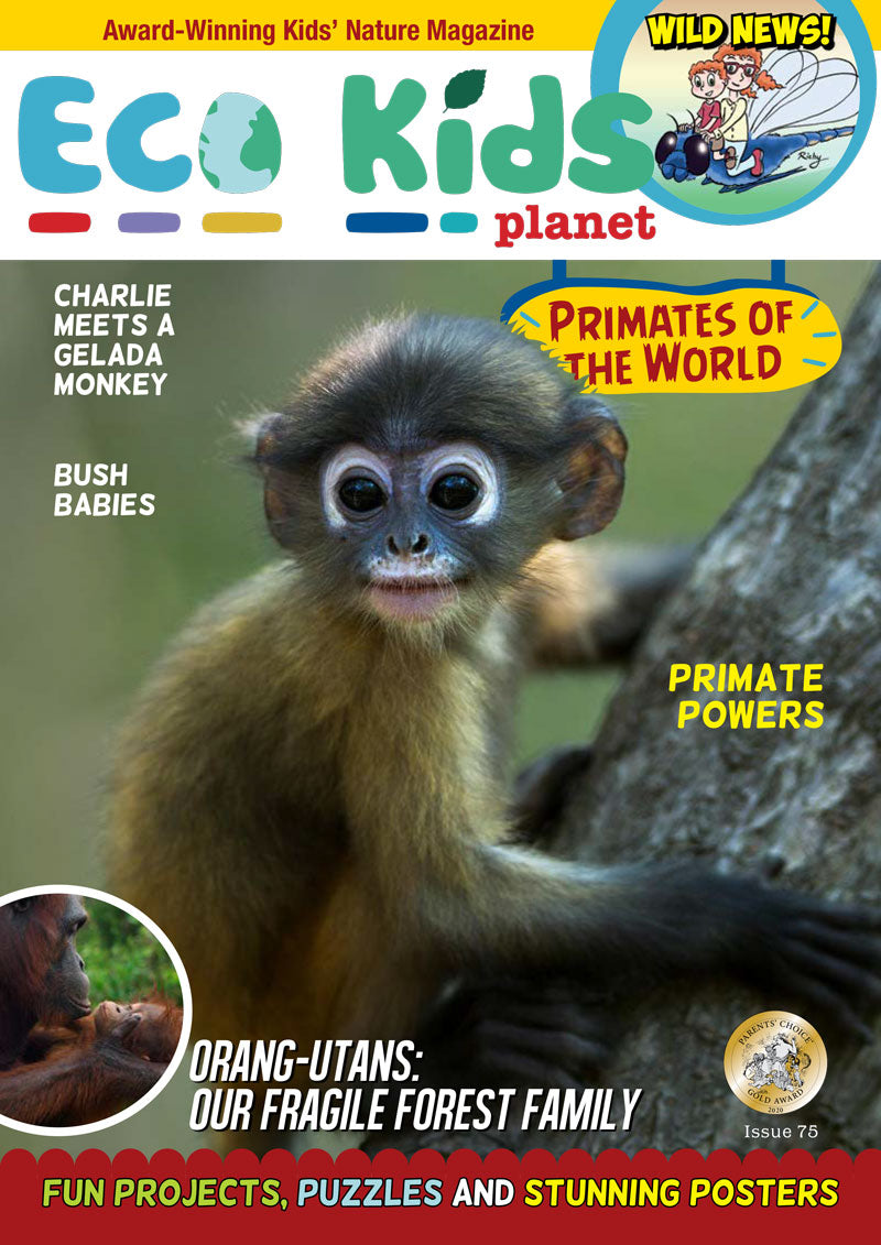 Kid's Nature Magazines – Issue 75 – Primates of the World