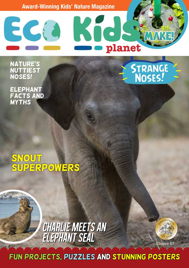 Kid's Nature Magazines – Issue 87 – Strange Noses!
