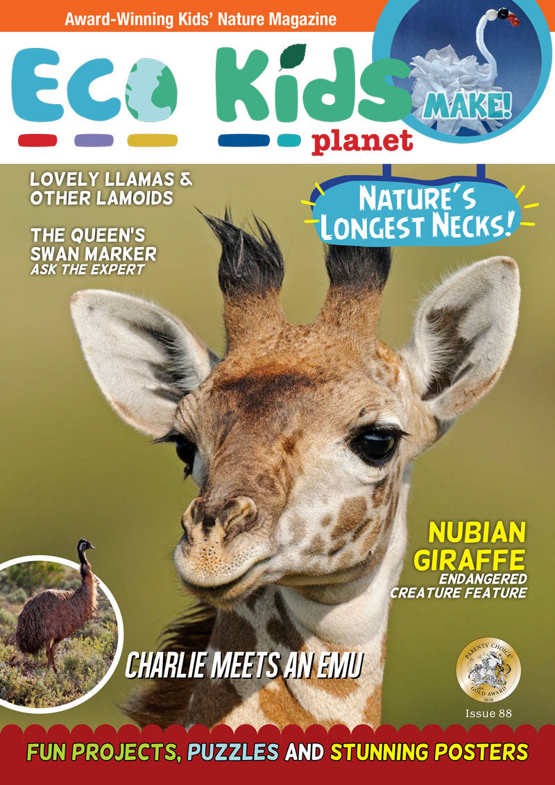 Kid's Nature Magazines – Issue 88 – Nature's Longest Necks