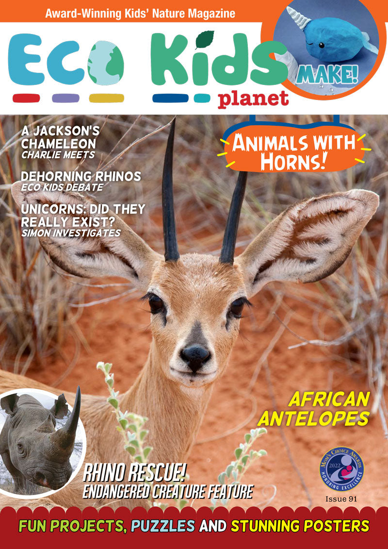 Kid's Nature Magazines – Issue 91 – Animals with Horns!