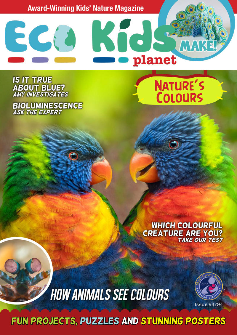Kid's Nature Magazines – Issue 93/94 - Nature's Colours