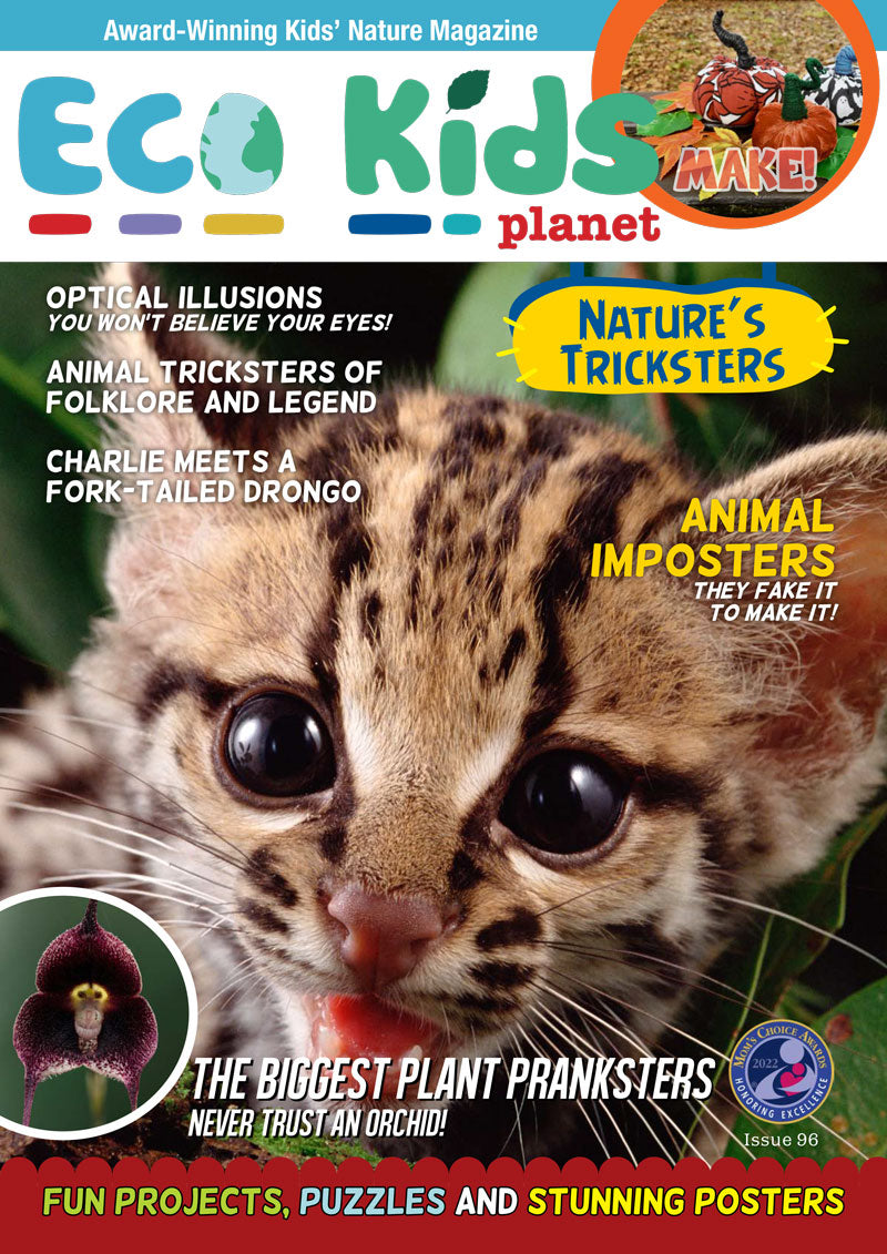 Kid's Nature Magazines – Issue 96 - Nature's Tricksters