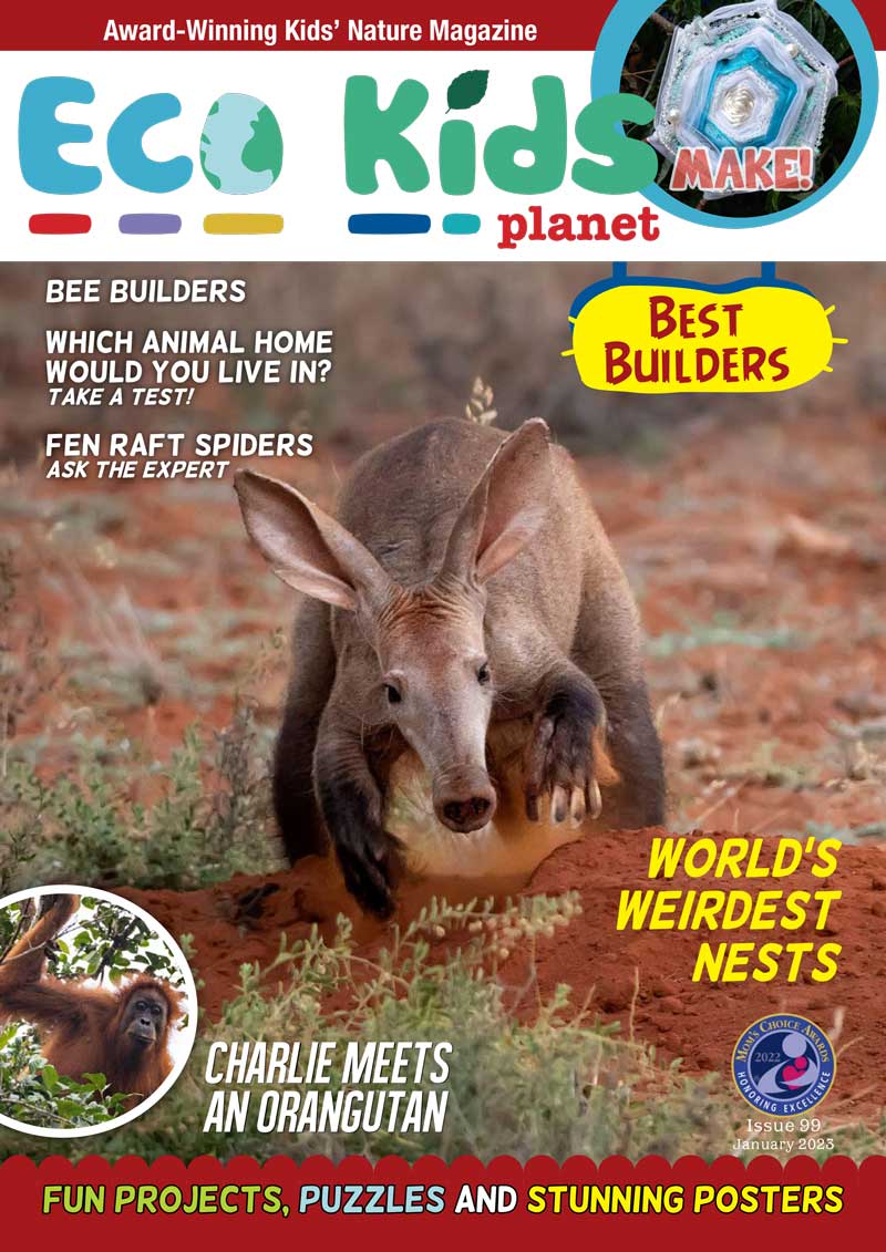 Kid's Nature Magazines – Issue 99 - Best Builders!