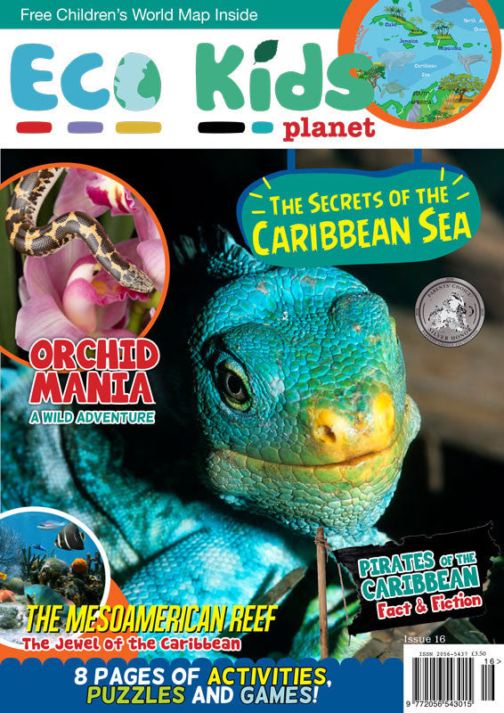 Kid's Nature Magazines - Issue 16 - The Secrets of the Caribbean Sea