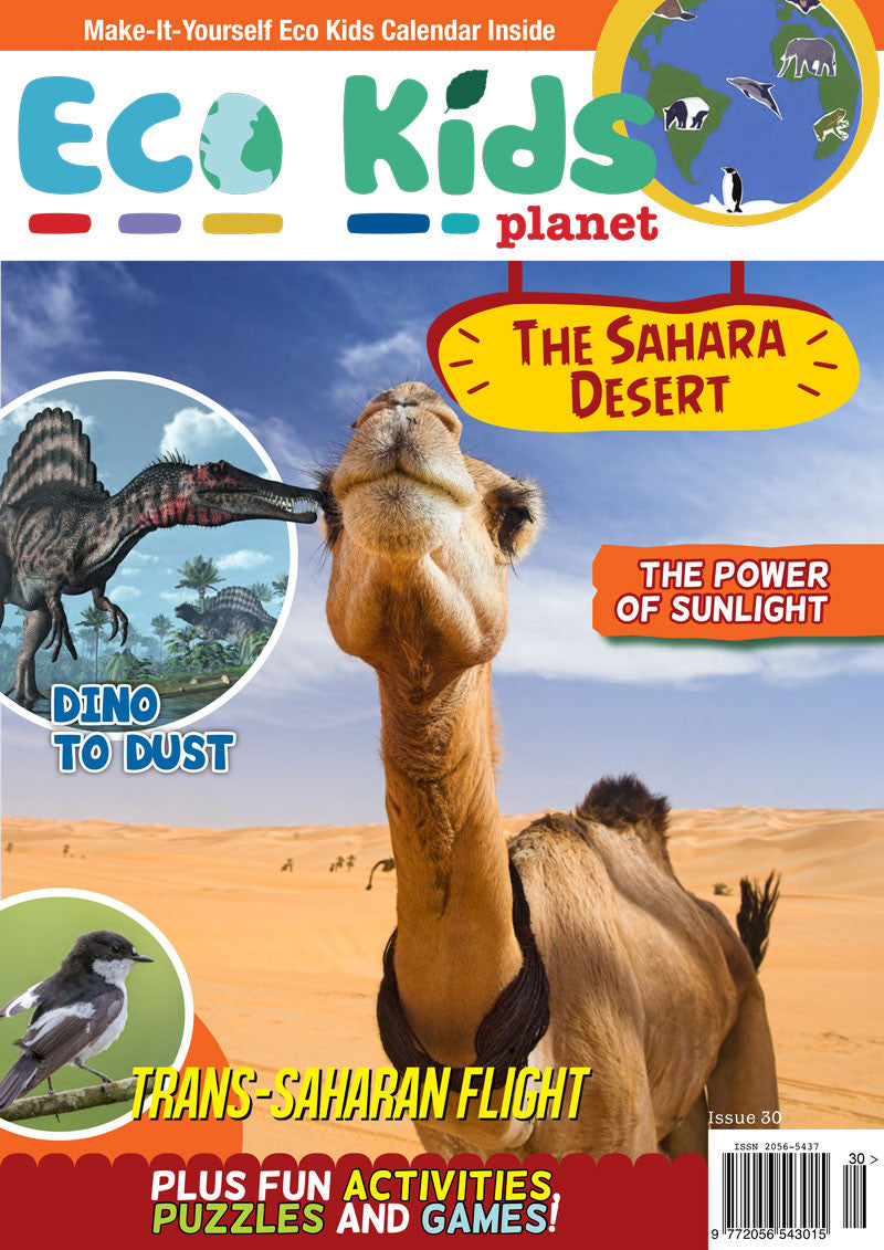 Kid's Nature Magazines - Issue 30 - The Sahara Desert
