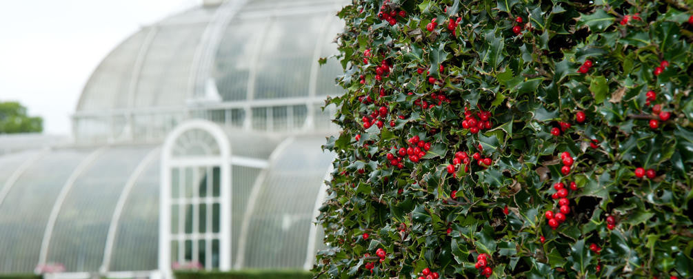 How to stay connected to nature in winter