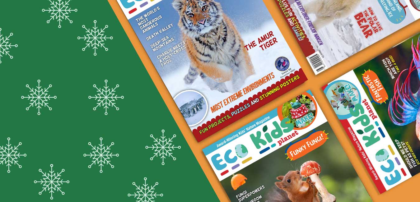 10 Reasons Why Eco Kids Planet Magazine is the Perfect Gift this Christmas