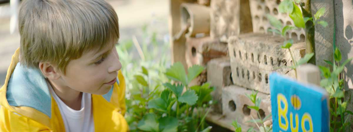 Wild Challenge: a Hotel for Minibeasts