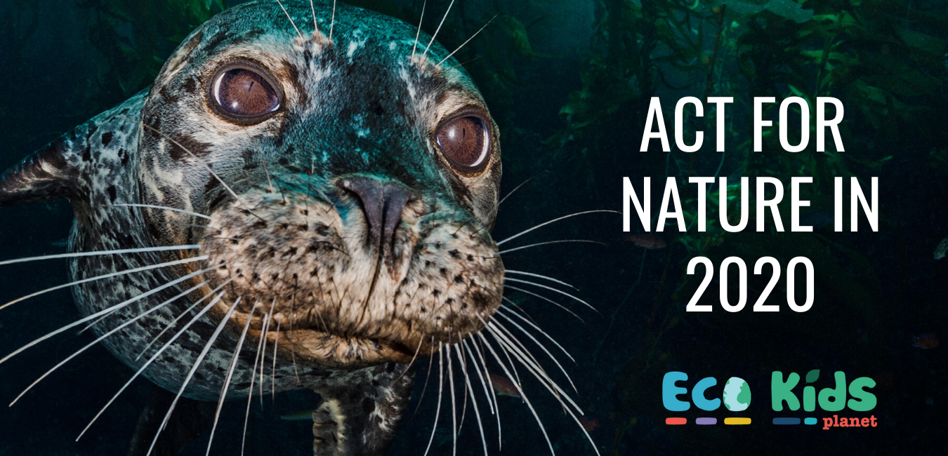 5 New Year's Resolutions for Wildlife in 2020