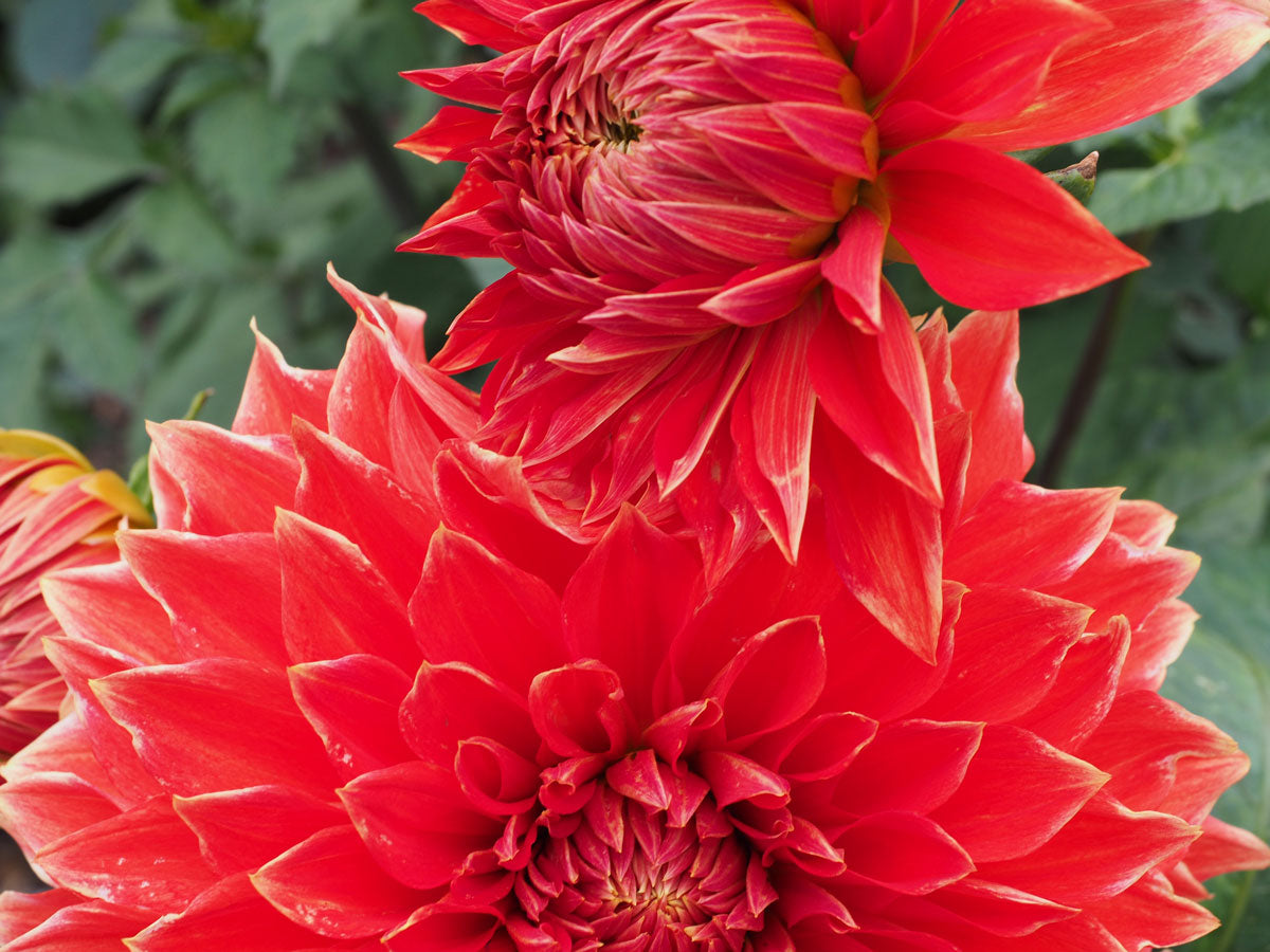 Photo Competition: Nature's Colours
