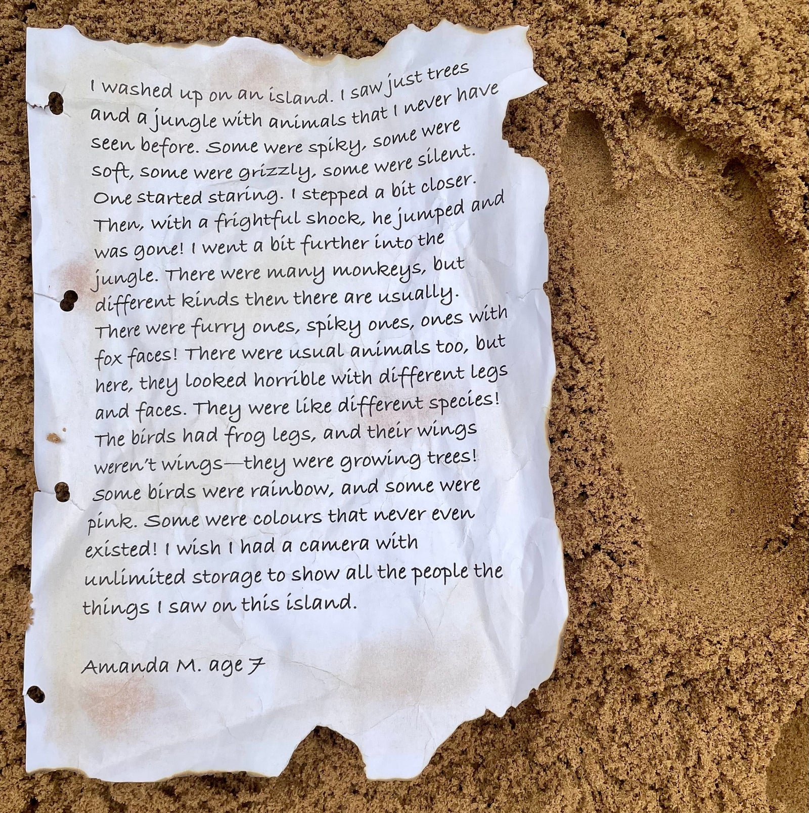 My Island by Amanda, age 7, Peterborough – Wild Island diary entry competition winner