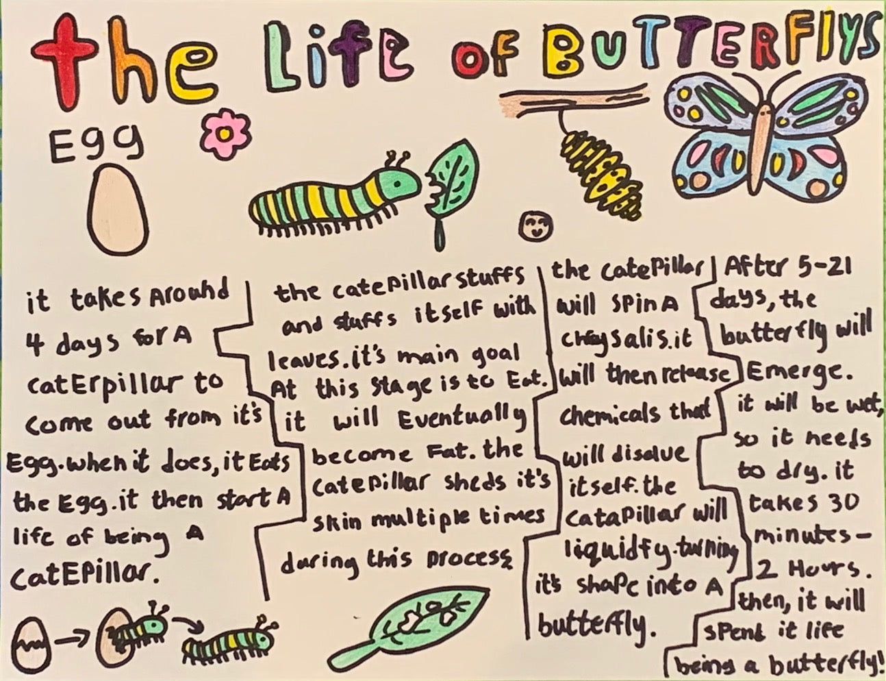 Monthly competition: Baby Animals