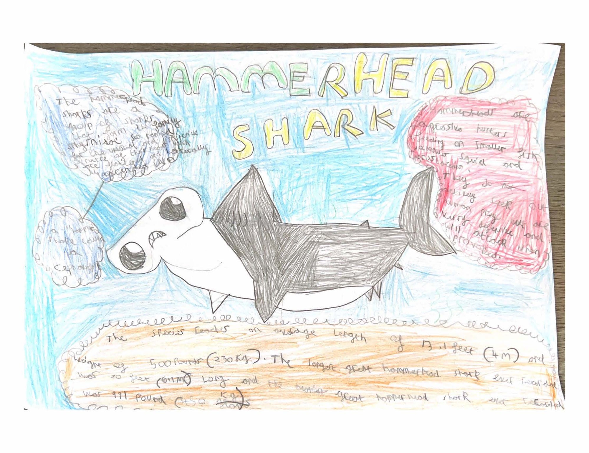 Monthly Competition: Seashore Wildlife