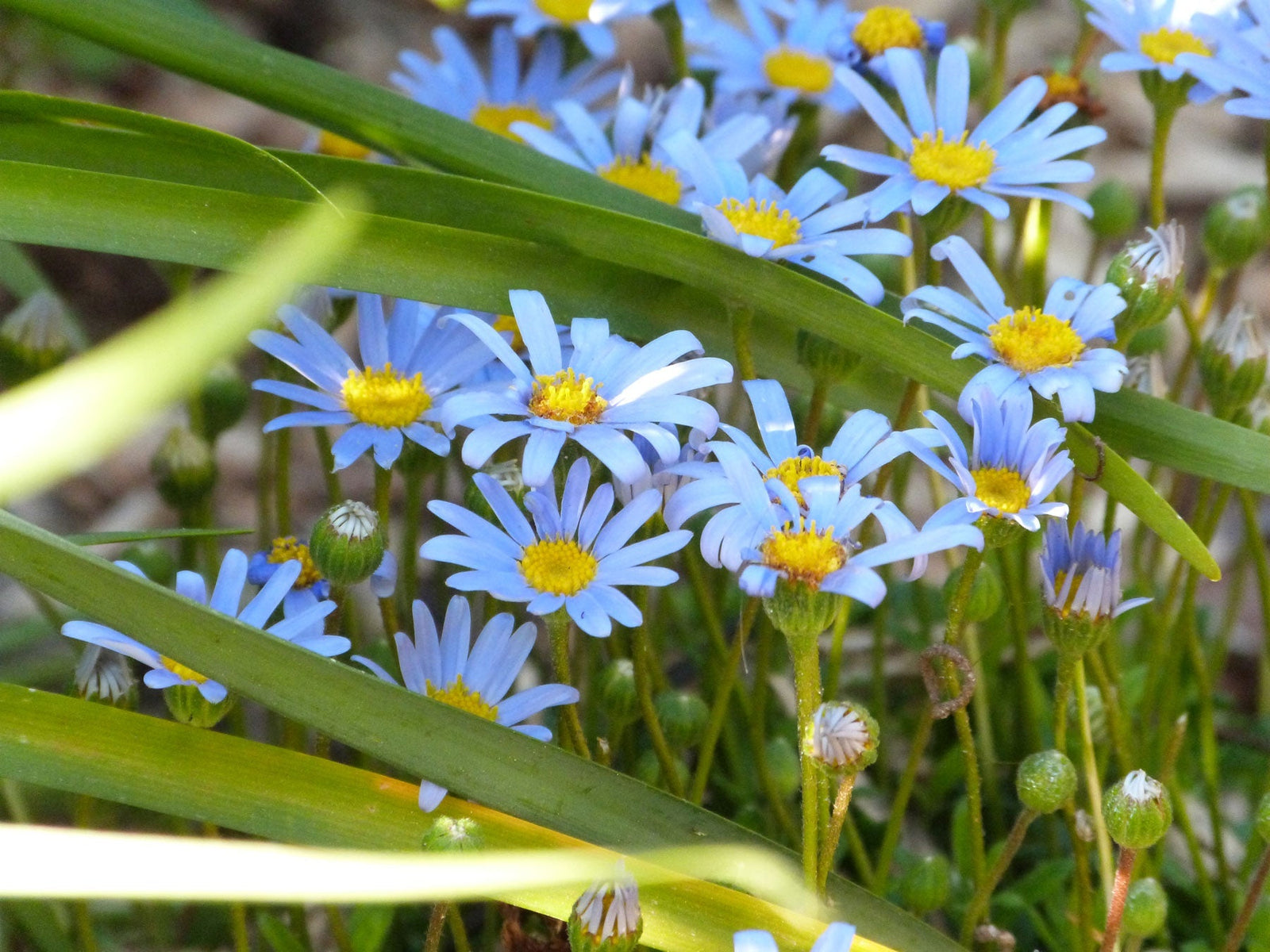 Monthly Competition: Springtime Scavenger Hunt