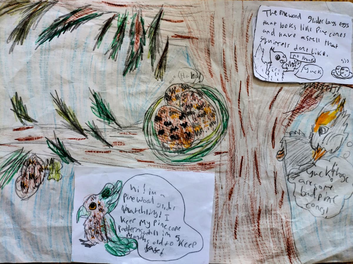Monthly competition: The secret egg challenge
