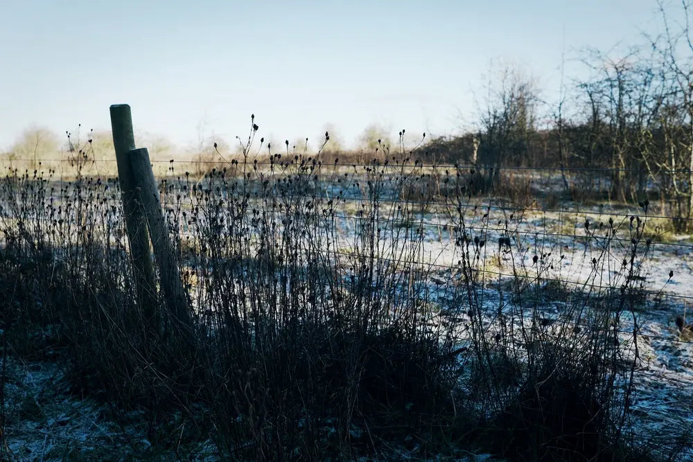 Monthly Competition: Winter Explorer