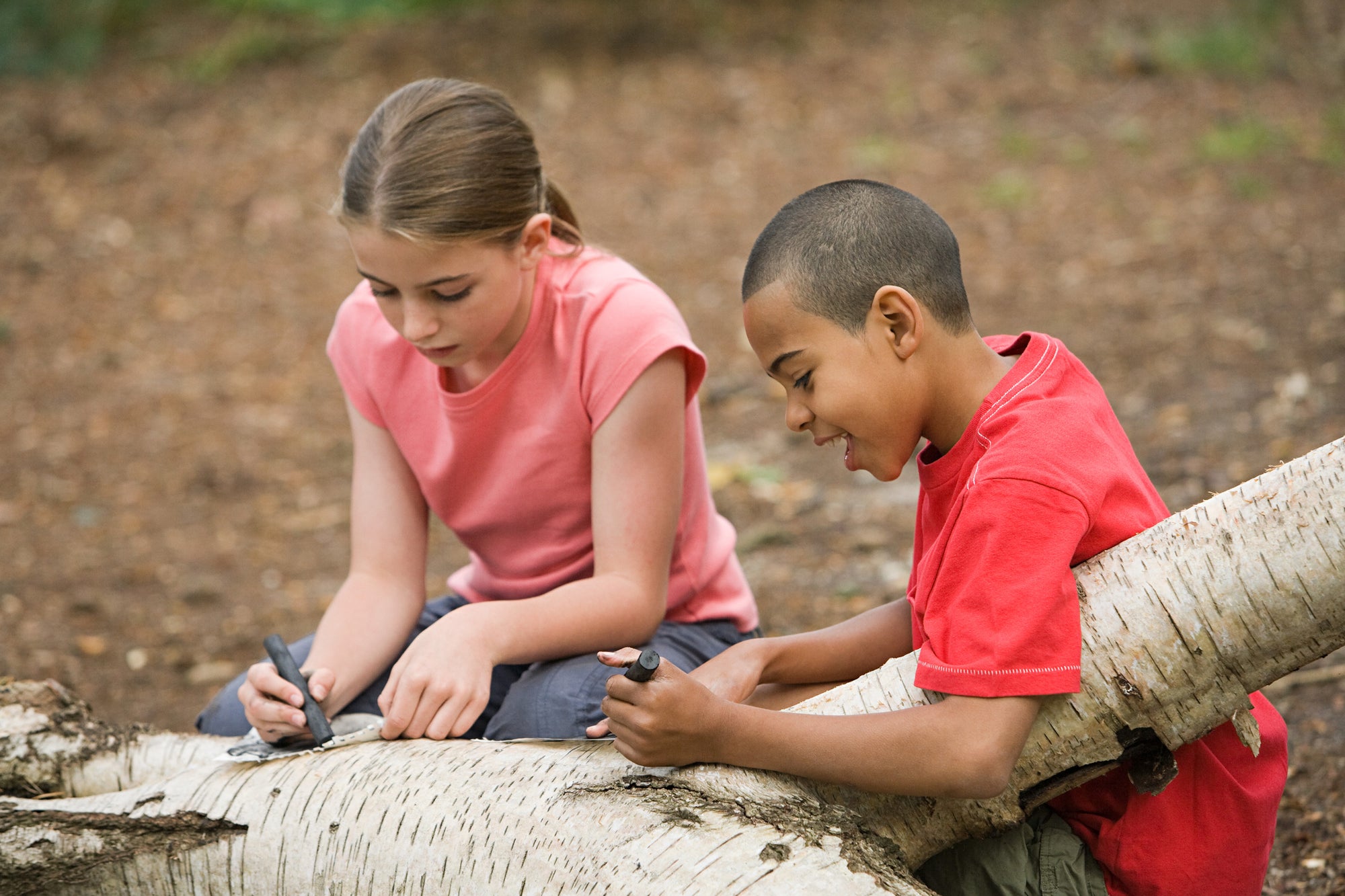 Investigate a Tree Competition Winners