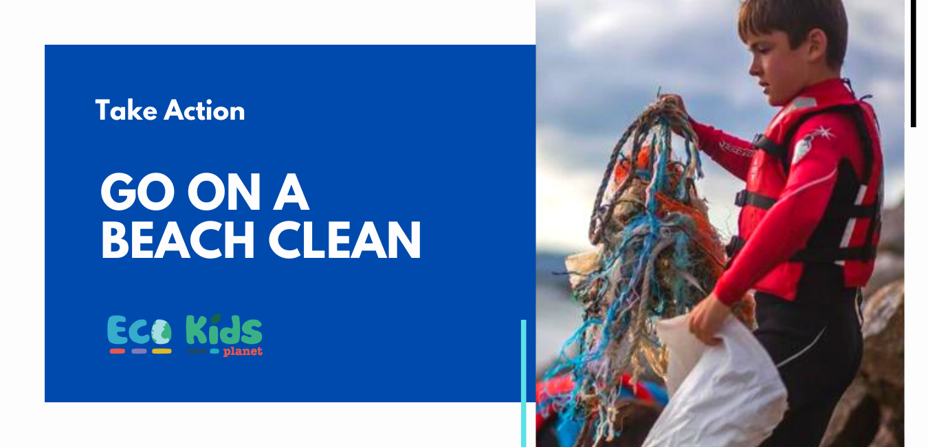 Top Tips for going on a Beach Clean!
