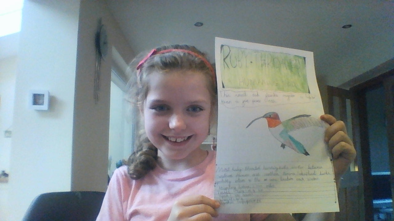 Migration Madness Top Trumps Competition Winners