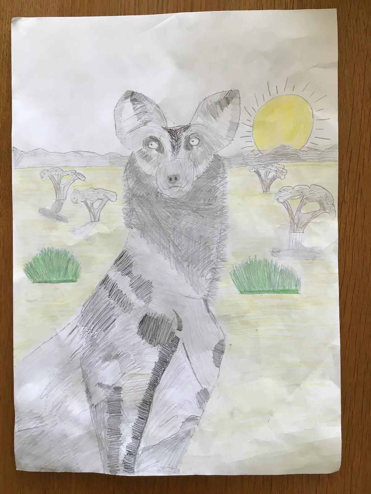Monthly competition: African animal postcard
