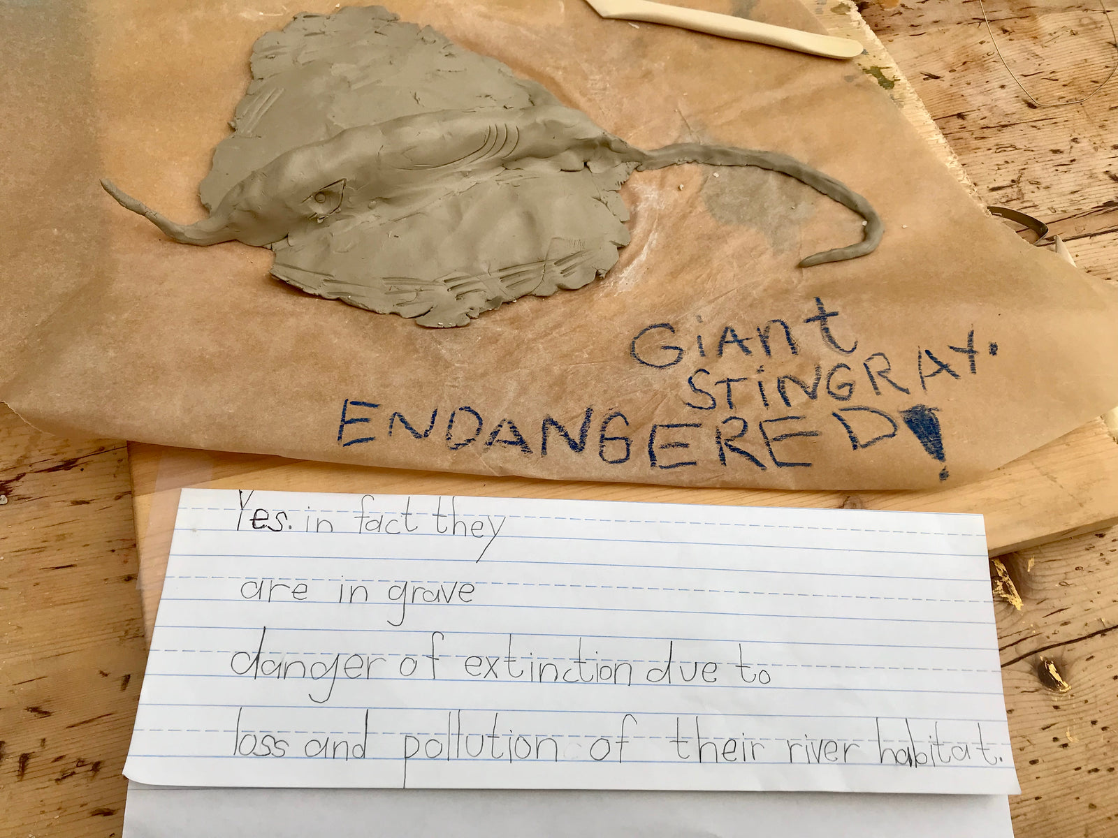 Mighty Mekong Competition Winners