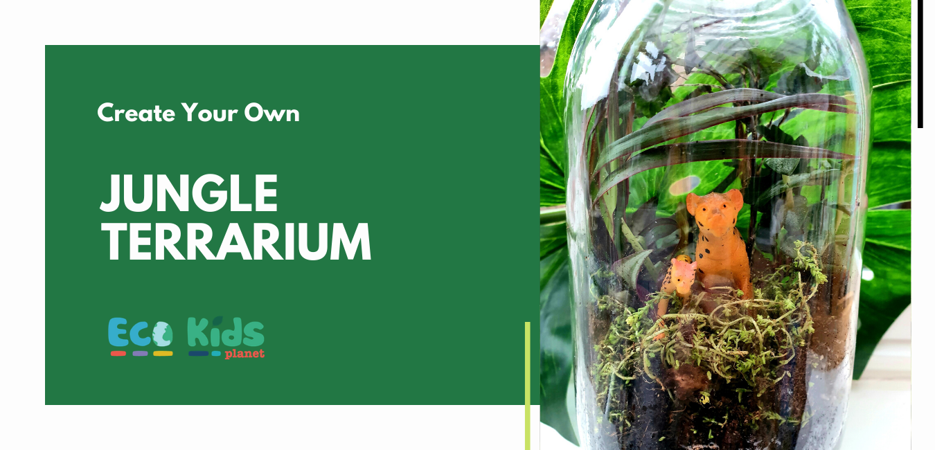 Make your own: Jungle Terrarium