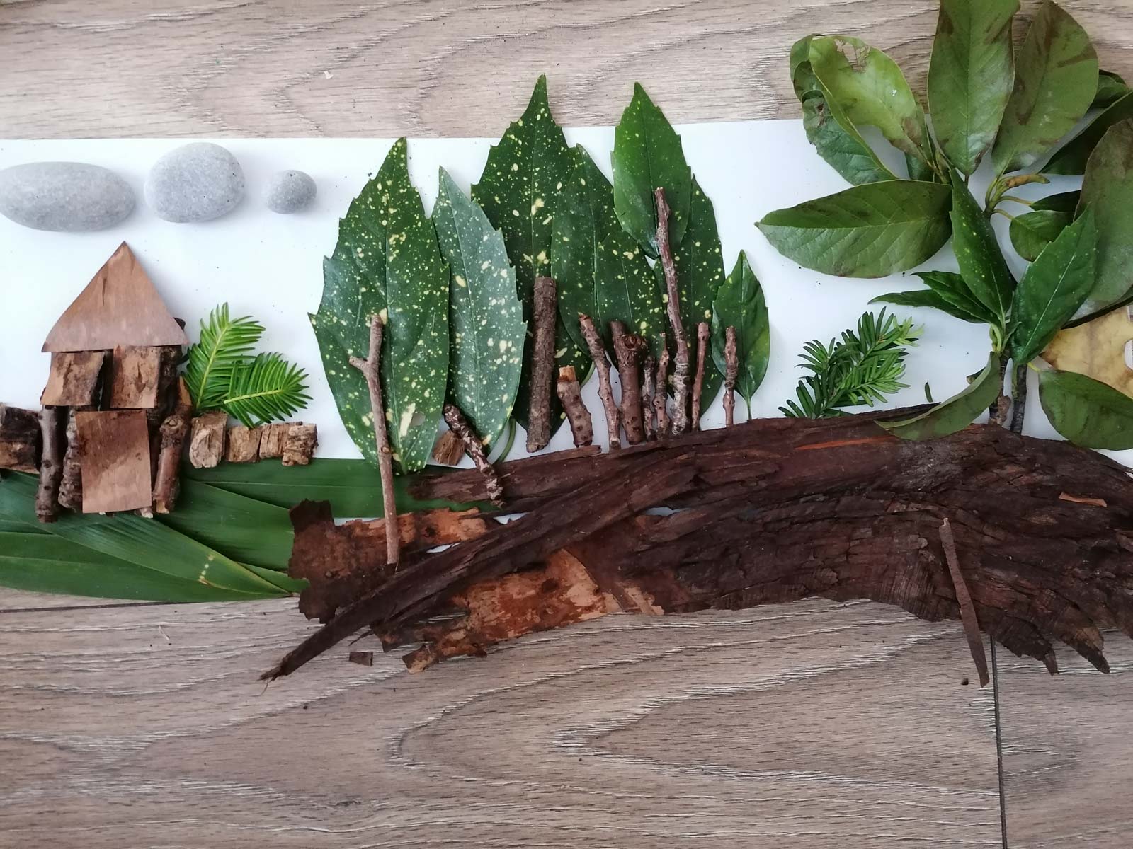 Monthly Competition: Nature Art