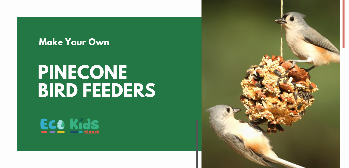Make Your Own..... Pine Cone Bird Feeder