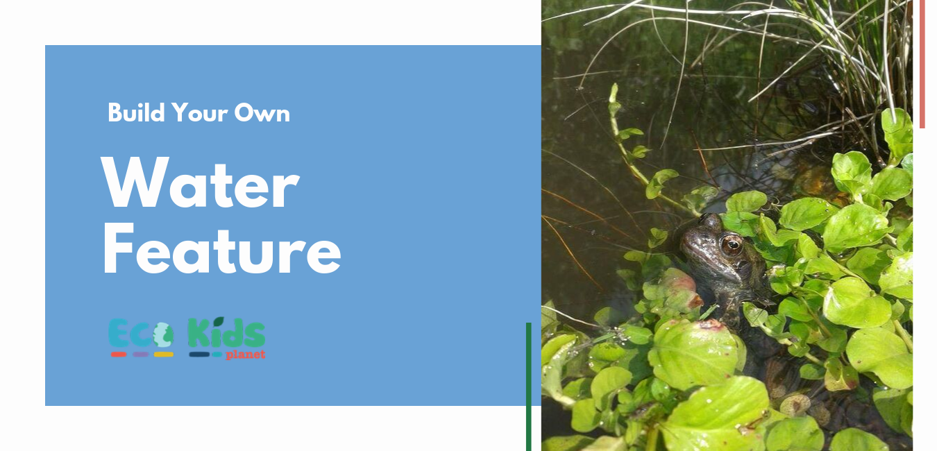Nature Project: Build a Wildlife Water Feature