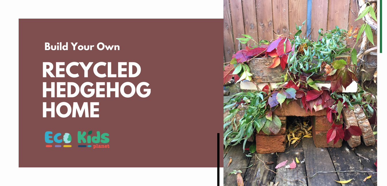 Build Your Own: Recycled Hedgehog Home