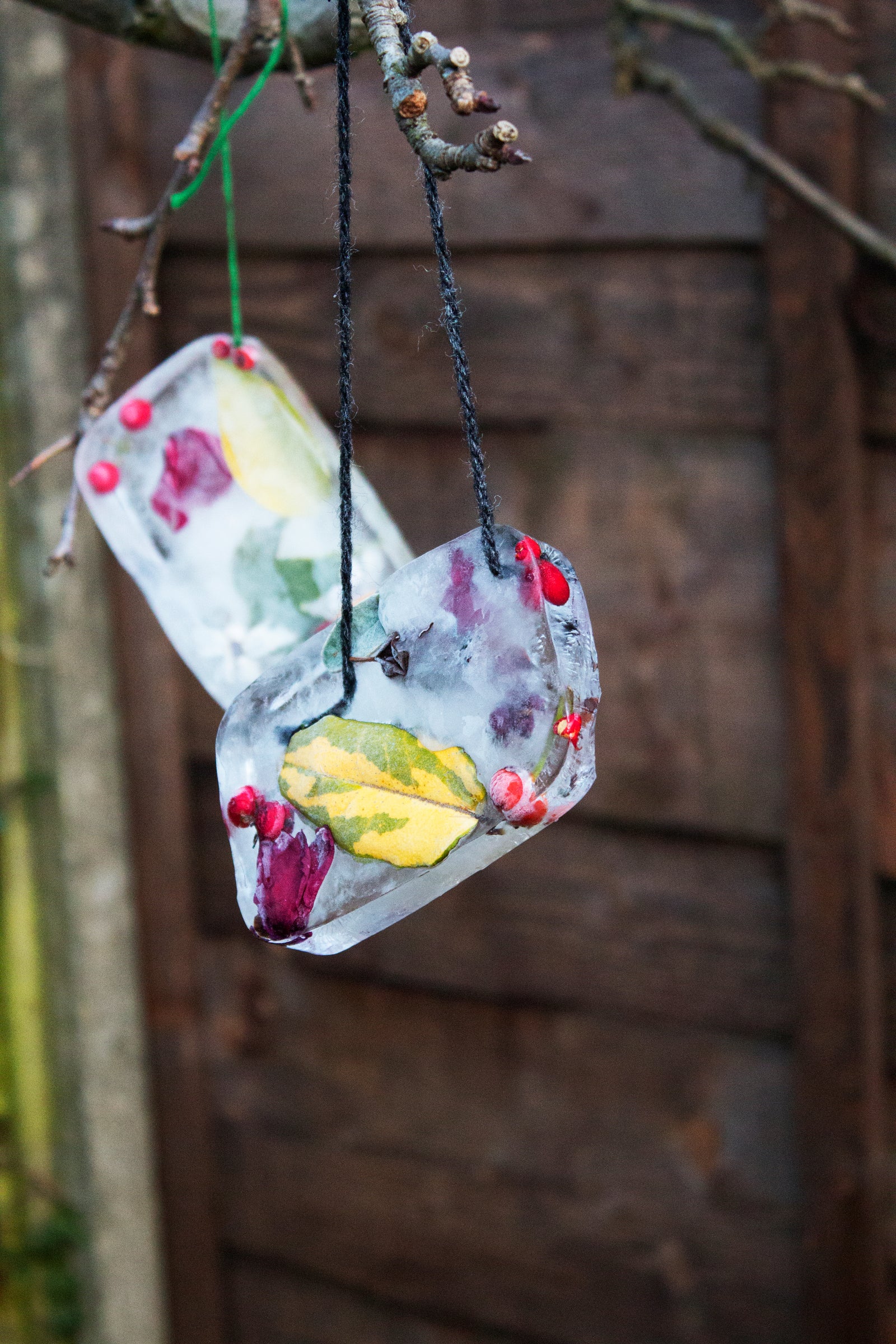 Ice Decoration Competition Winners