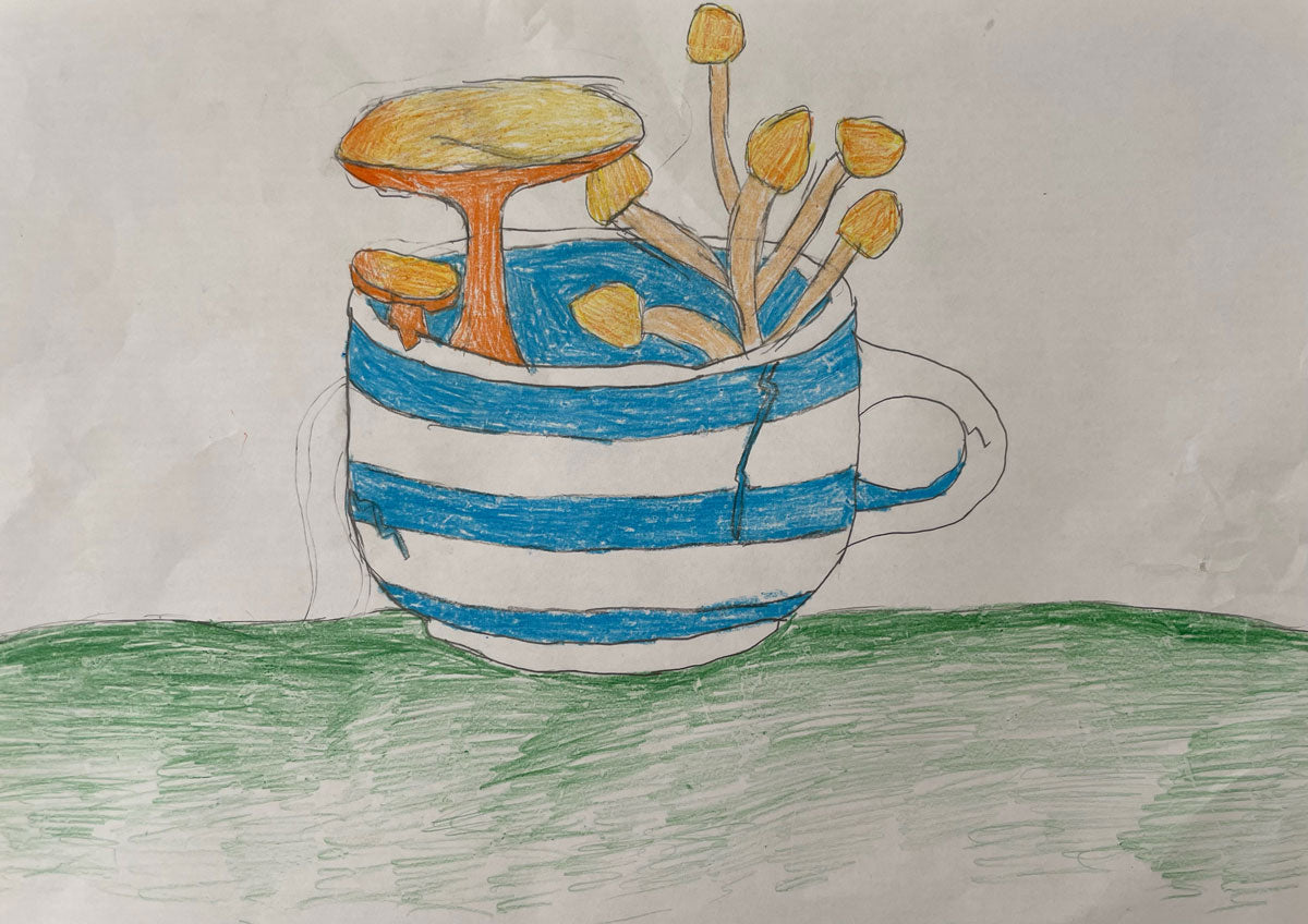 Competition Winners: Fungi in an Unusual Place