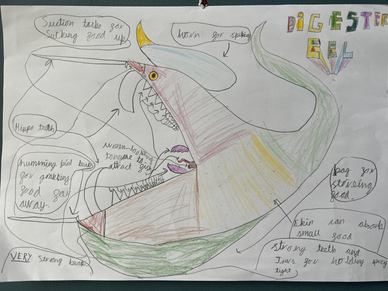Monthly Competition: JAWsome Creatures