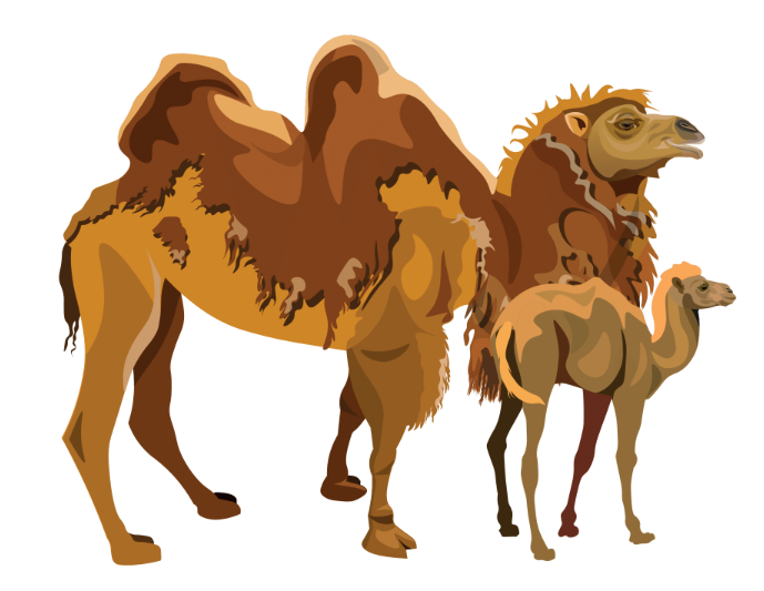 Gobi Desert Adventure Holiday: Competition Winners