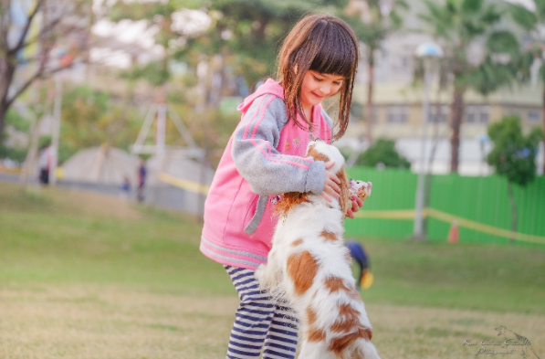 How spending time with animals can improve your child’s wellbeing