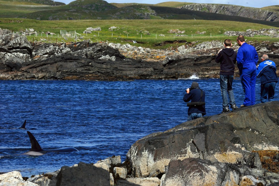 Let's Debate: Ecotourism