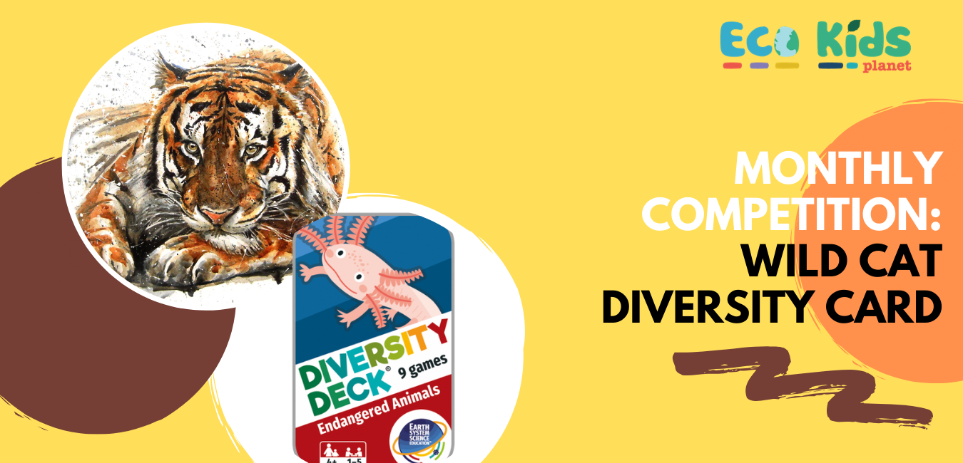 Wild Cat Diversity Card: Winners Announced