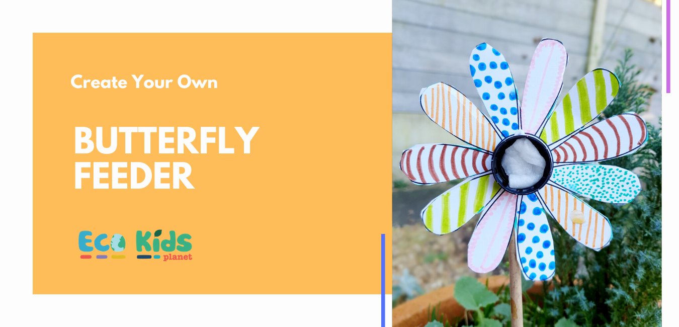 Make Your Own: Butterfly Feeder