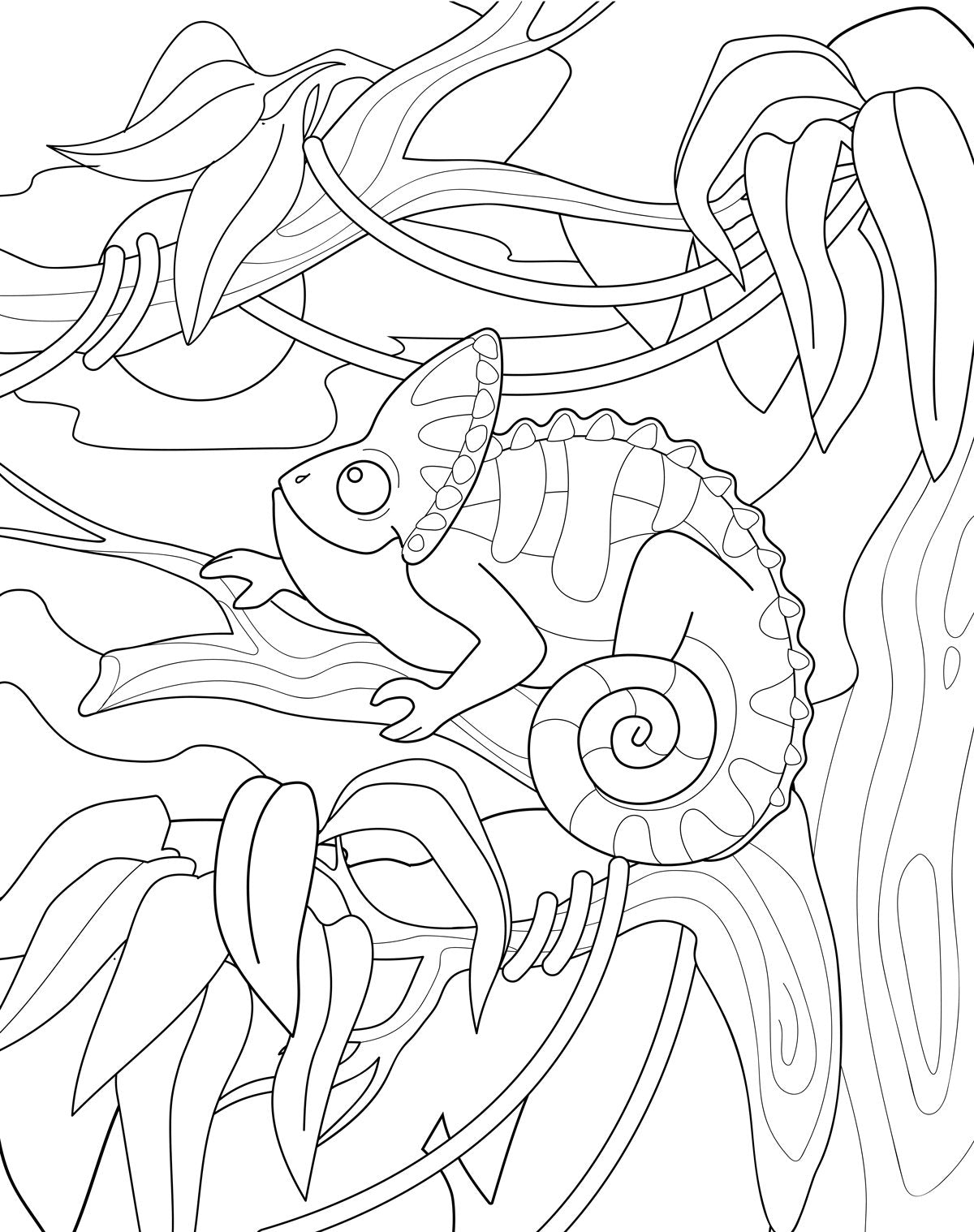 Monthly Competition: Colourful Chameleon