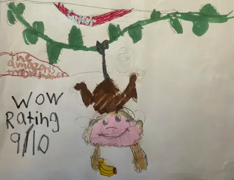 Capuchin Monkey by Laila, age 7, Staten Island – Animal top trumps entry competition winner
