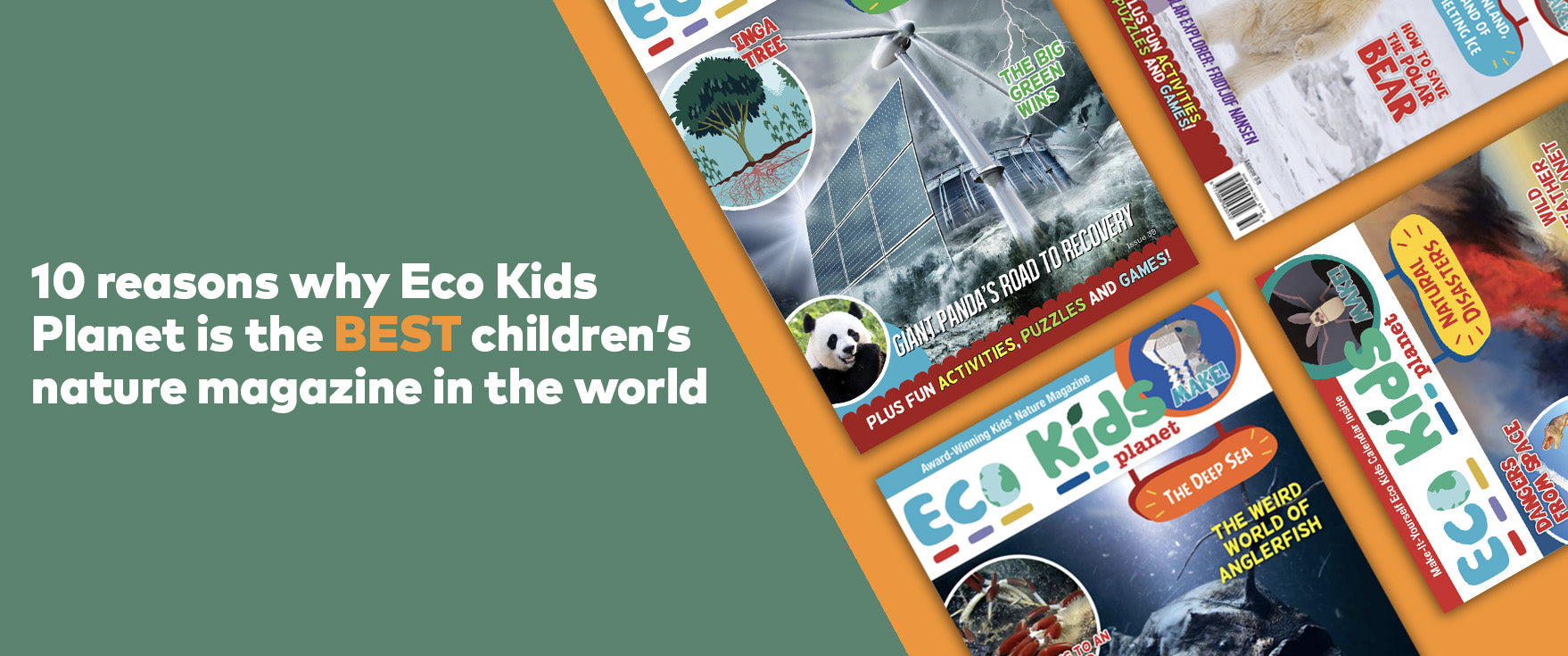 10 Reasons Why Eco Kids Planet is THE Best Children's Nature Magazine in the World